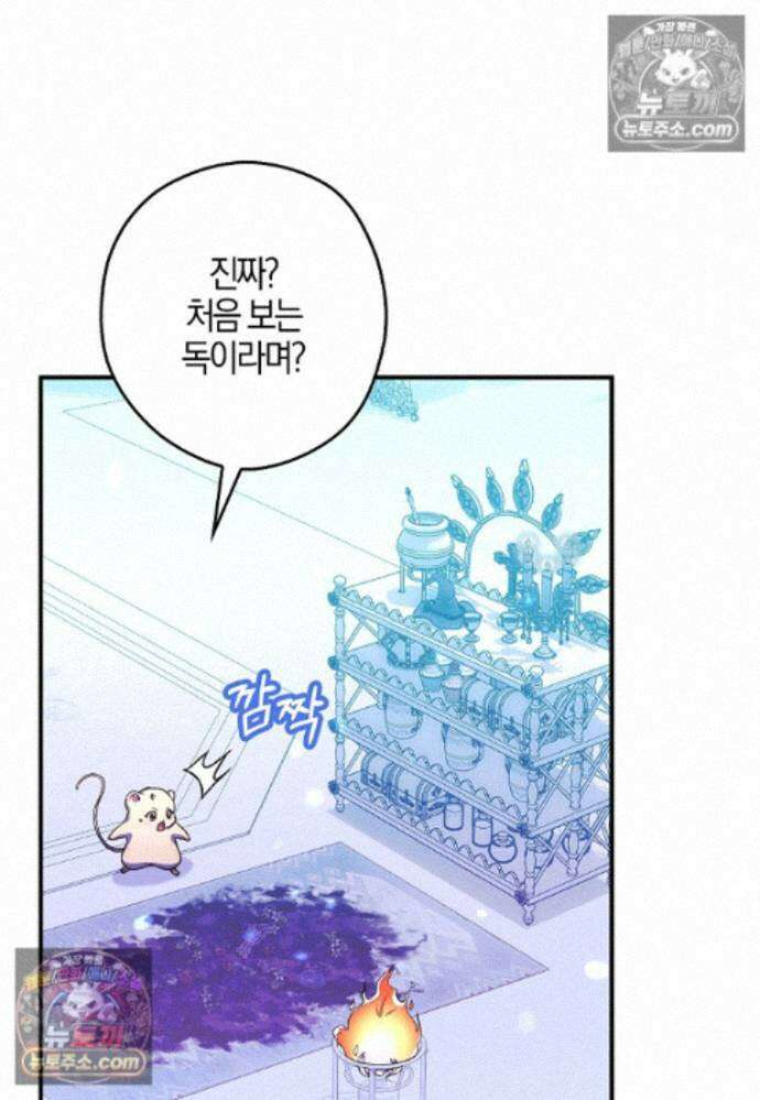 신데렐라는 이 멧밭쥐가 데려갑니다 42화 11