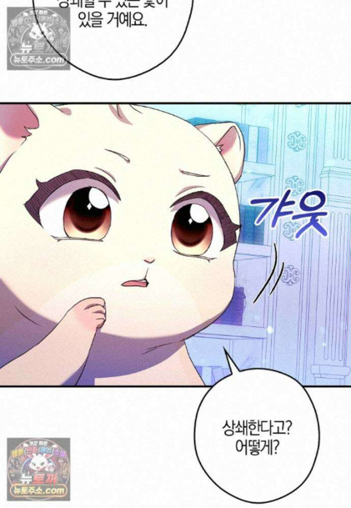 신데렐라는 이 멧밭쥐가 데려갑니다 42화 13