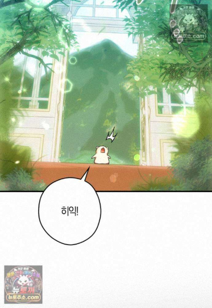 신데렐라는 이 멧밭쥐가 데려갑니다 42화 19