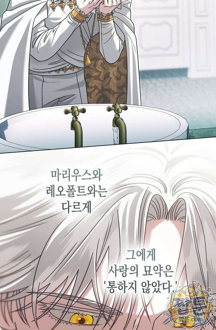 피폐 역하렘 남주들의 막내 처제가 되었다 74화 72