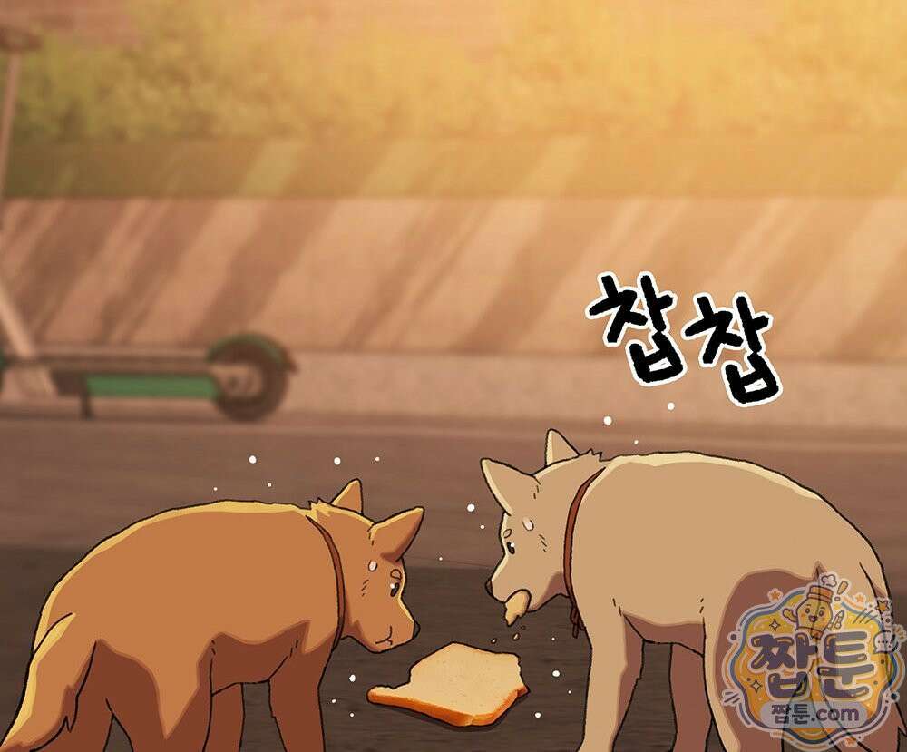 무지개다리 파수꾼 199화 86