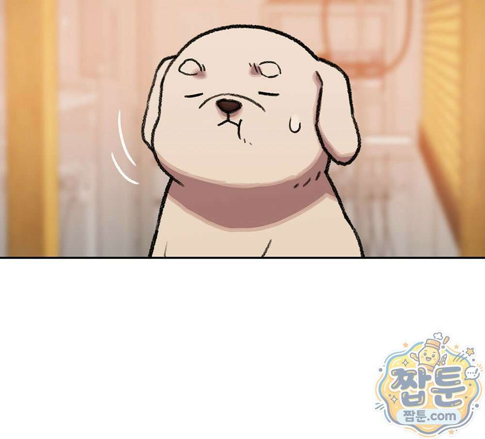 무지개다리 파수꾼 199화 114