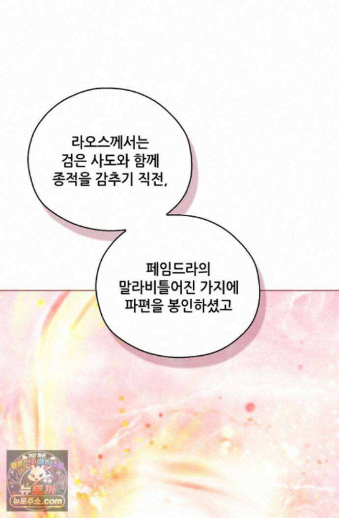 아도니스 312화 6