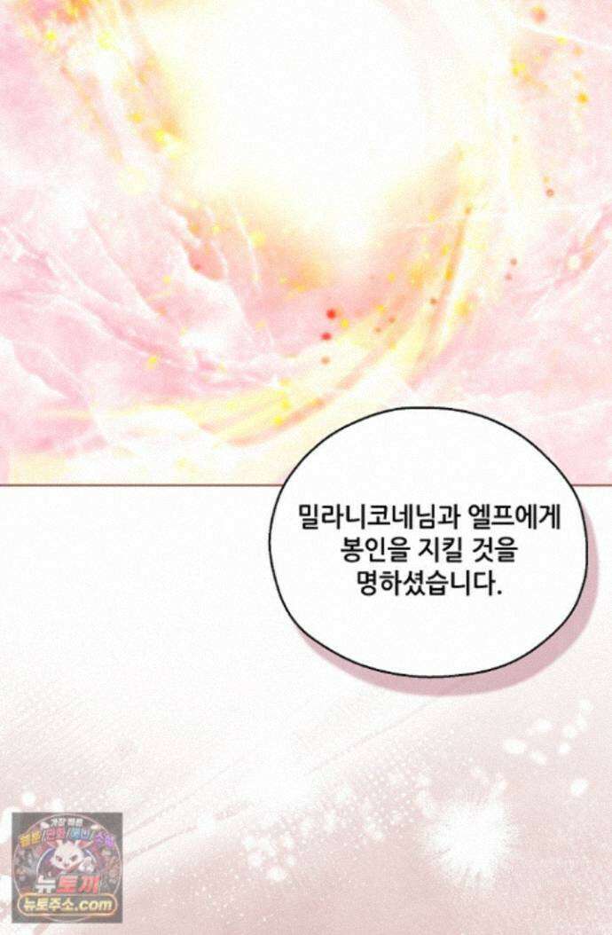 아도니스 312화 7