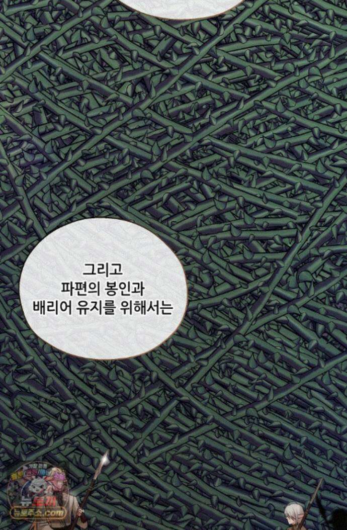 아도니스 312화 14