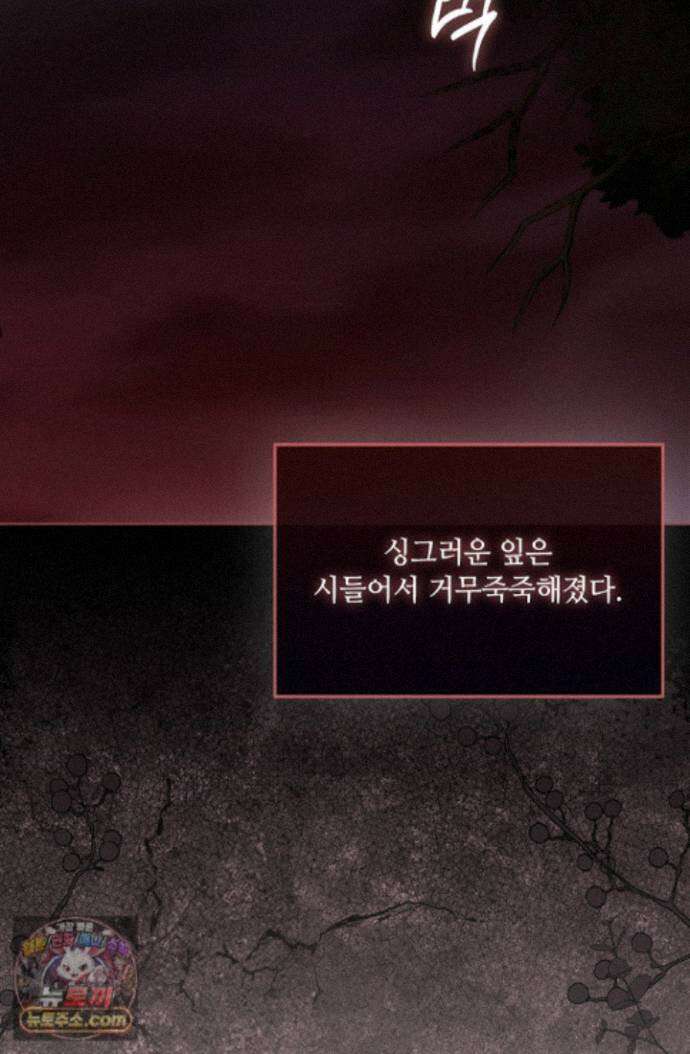 아도니스 312화 31