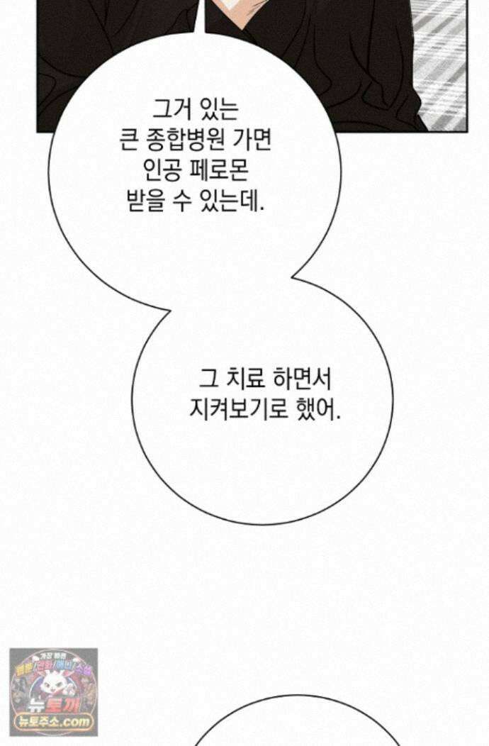 프렛리스 원더!! 45화 14