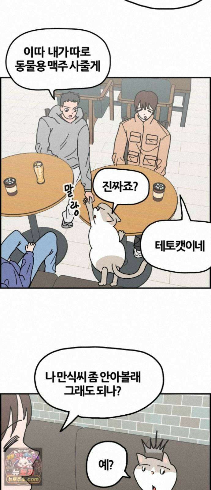 사회초년캣 19화 하고 싶은 거 4