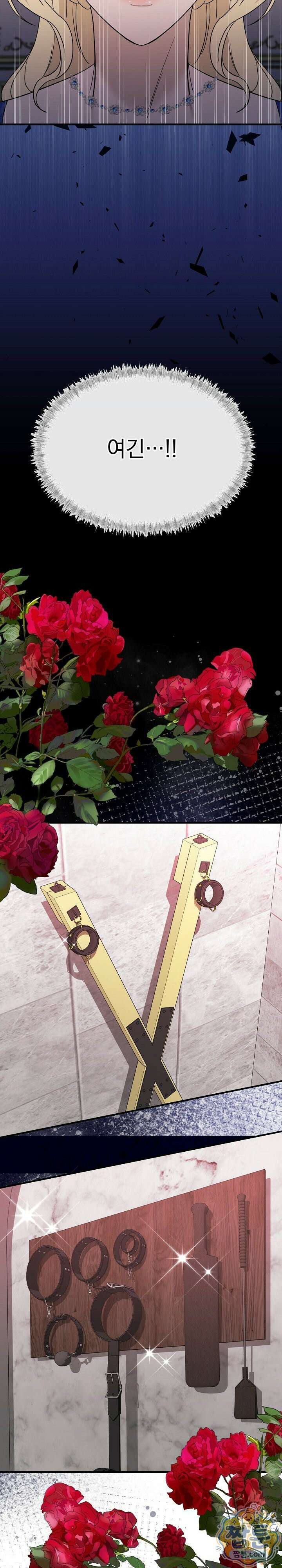 부부가 취향을 숨김 11화 2