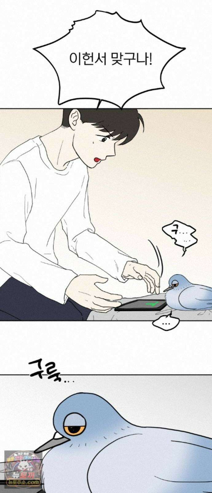 성북구 비둘기 이헌서 90화) 헌서, 휘혈 (3) 4