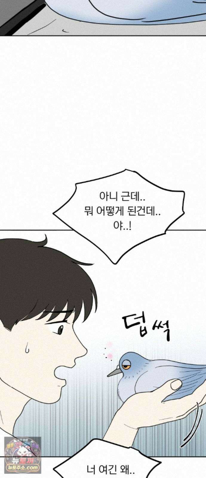 성북구 비둘기 이헌서 90화) 헌서, 휘혈 (3) 5