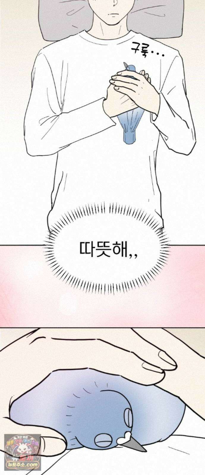 성북구 비둘기 이헌서 90화) 헌서, 휘혈 (3) 11