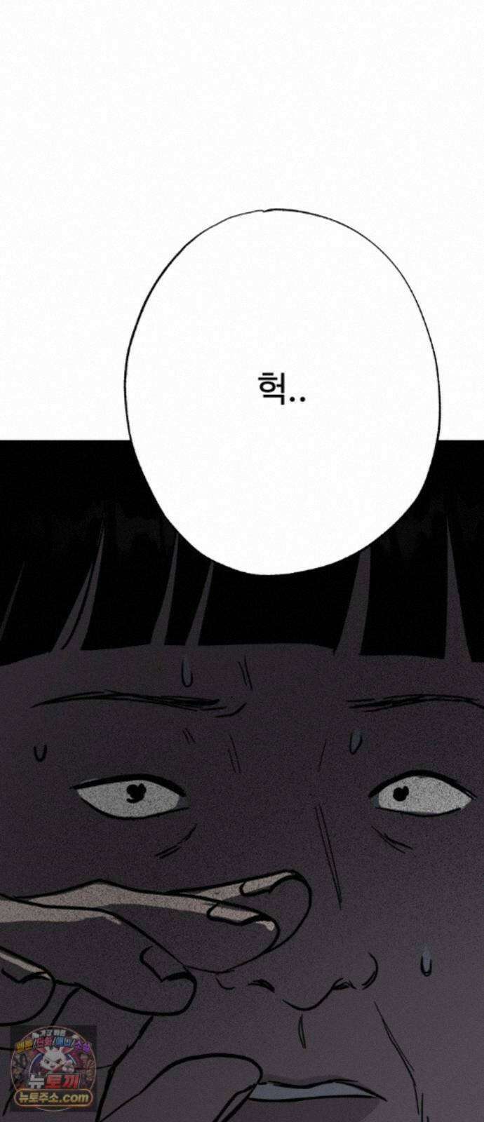 동경 43화 11