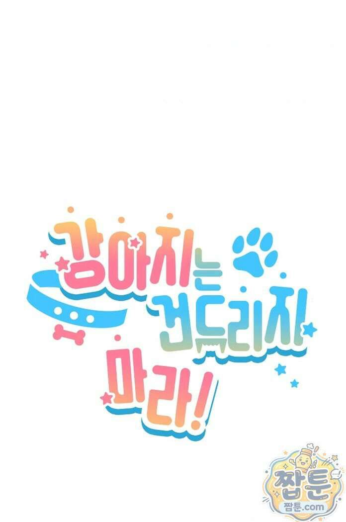 강아지는 건드리지 마라 63화 - 외전 9화 11