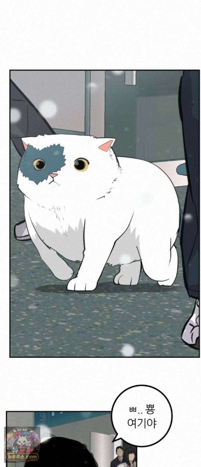 뽀대작렬 123화.믿지 못하겠지만 32