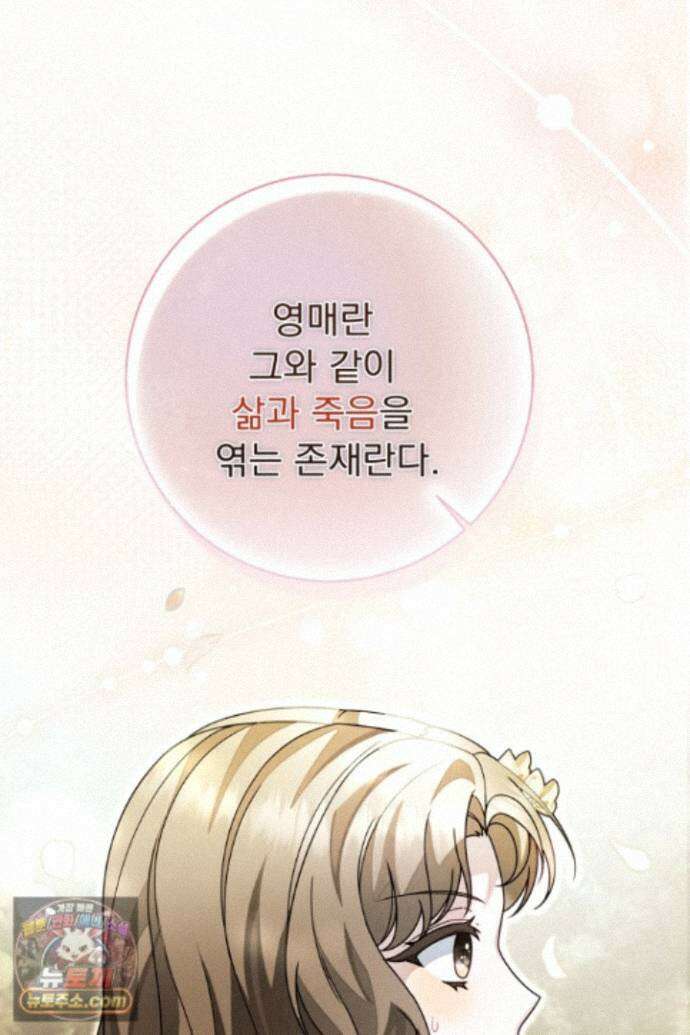 새벽의 소네트 37화 26