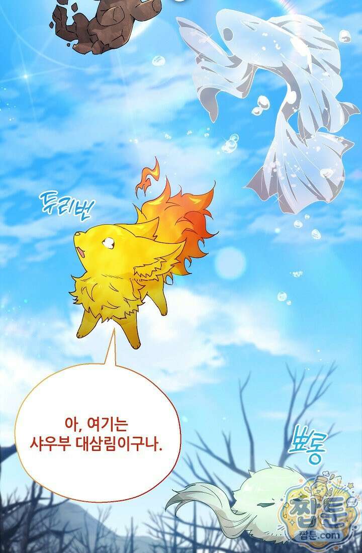 아도니스 314화 10