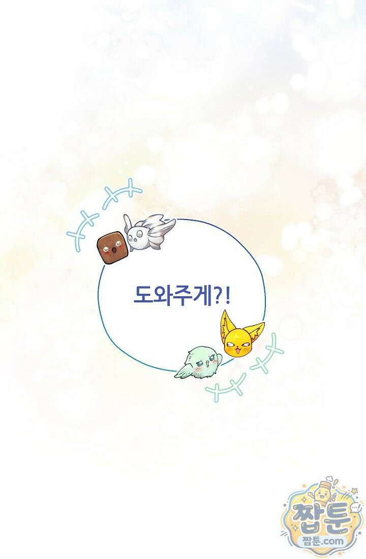 아도니스 314화 13