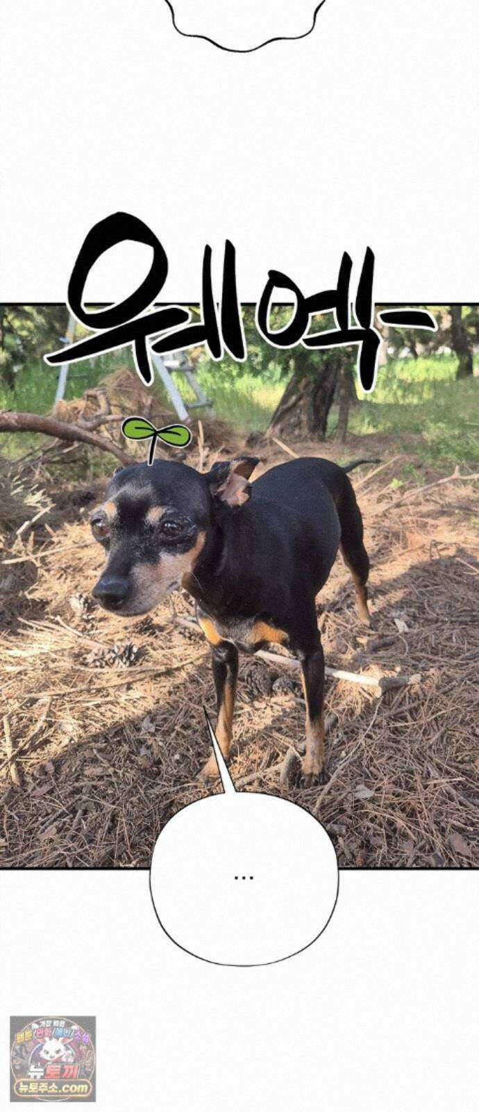 풀북 몬스터와 힐링하는 S급 헌터 시즌 1 후기 만화 45