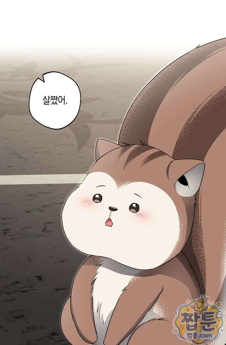 외로운 다람쥐도 제 굴이 있다 11화 9