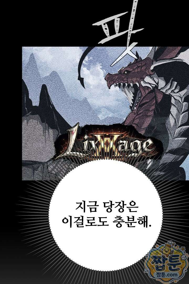 1레벨 플레이어 153화 87