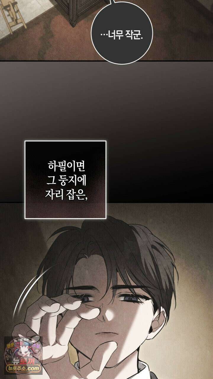 그 귀족가 형제들의 사정 11화 9