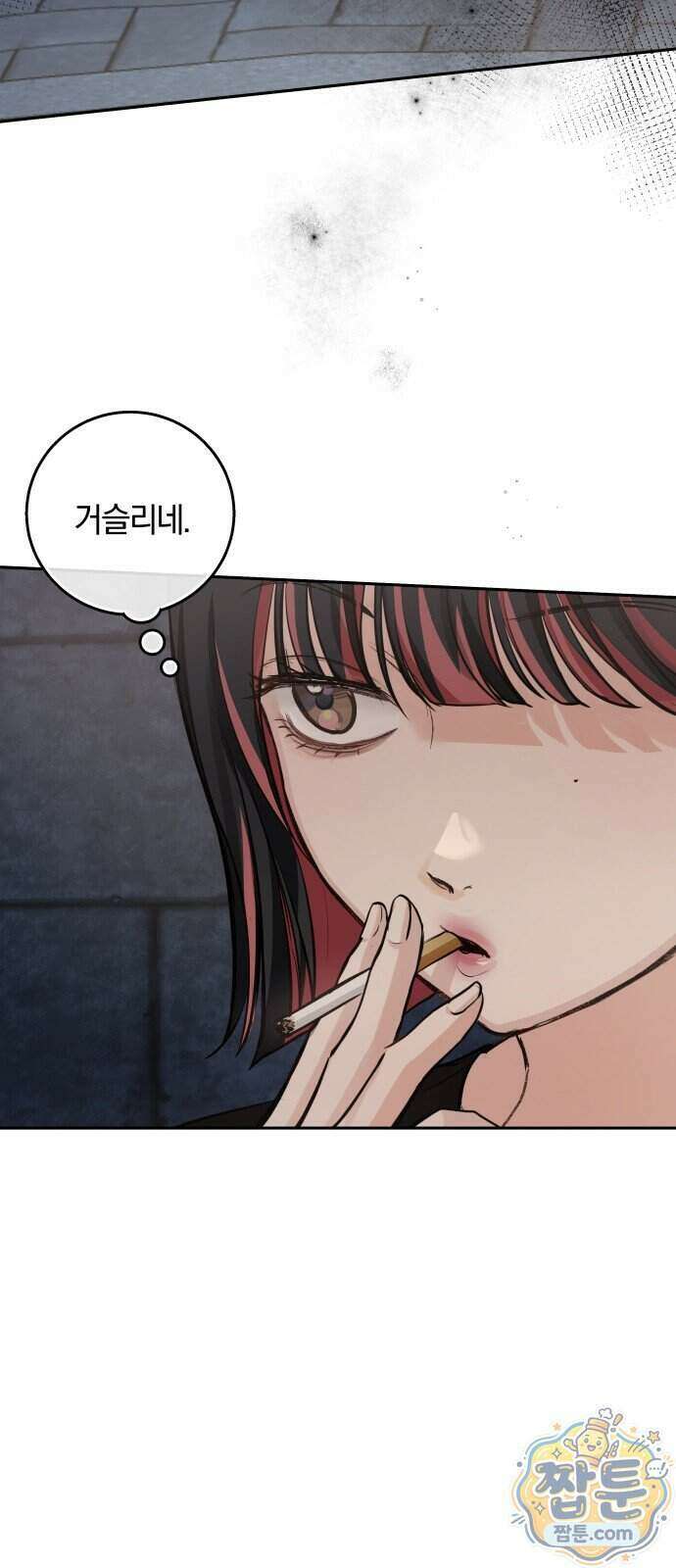 완벽한 게 다인 46화 10