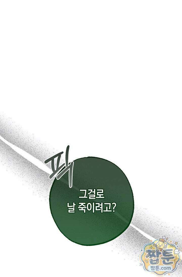 공작 부부에겐 비밀이 있다 12화 20