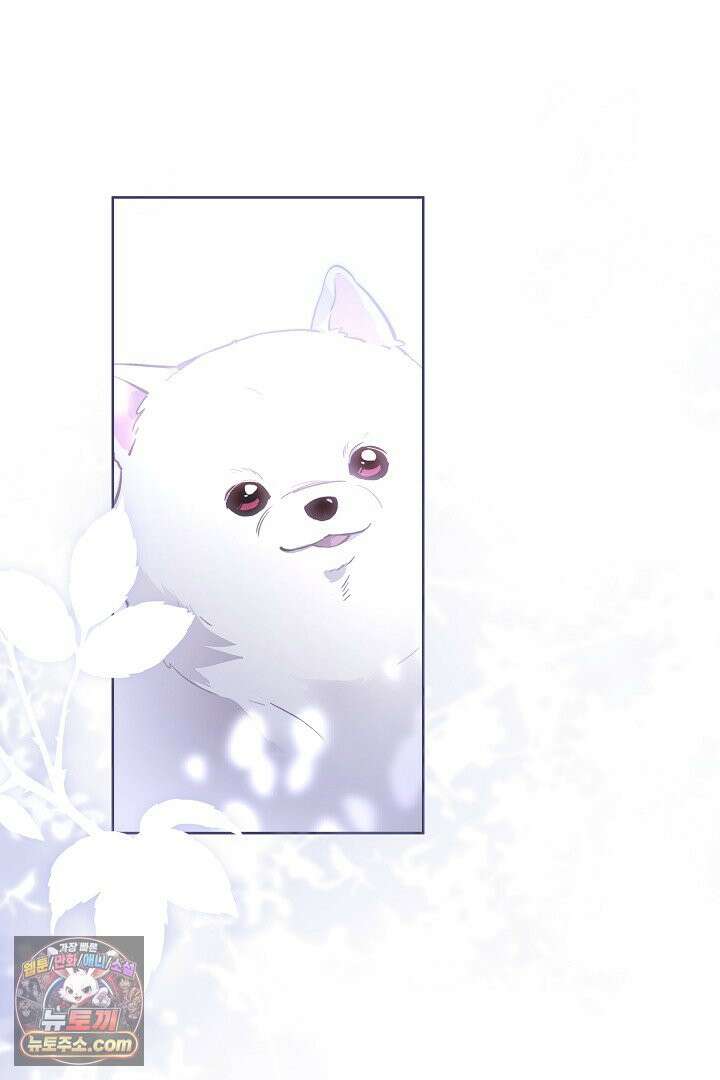 내 반려동물이 악당이 되었을 때 1화 47
