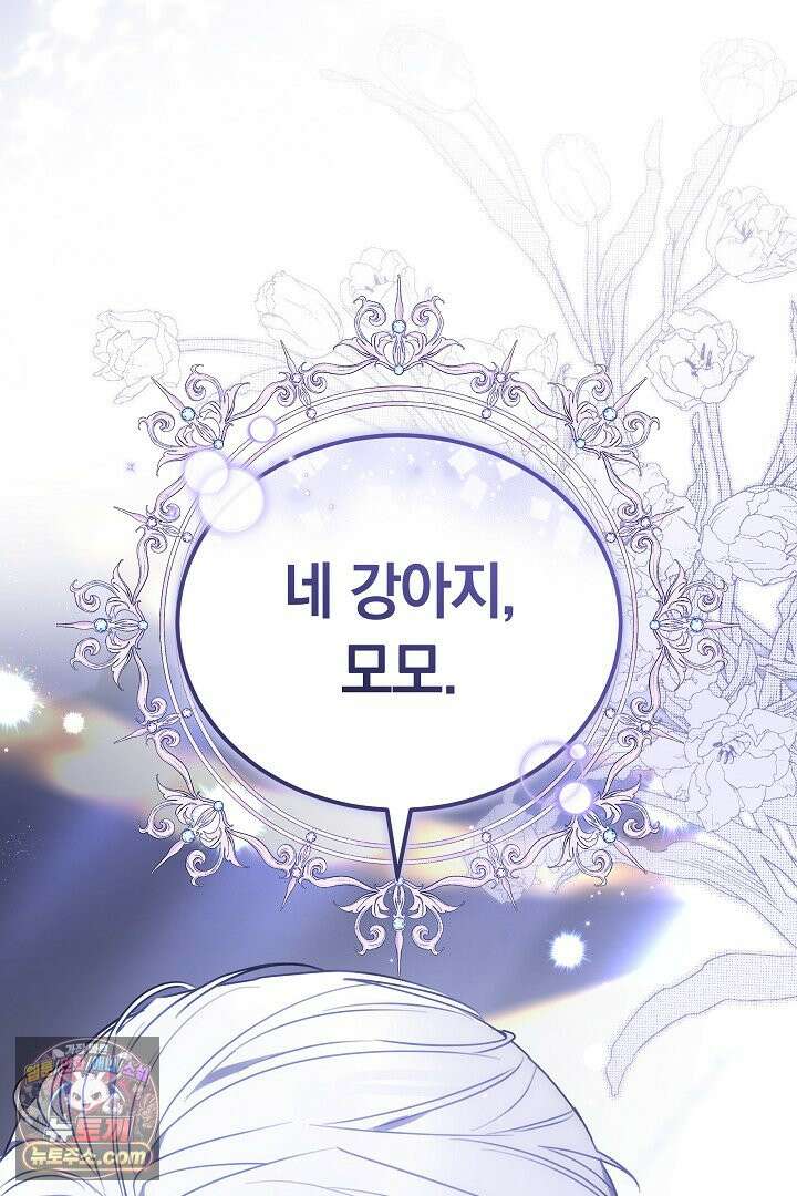 내 반려동물이 악당이 되었을 때 1화 48