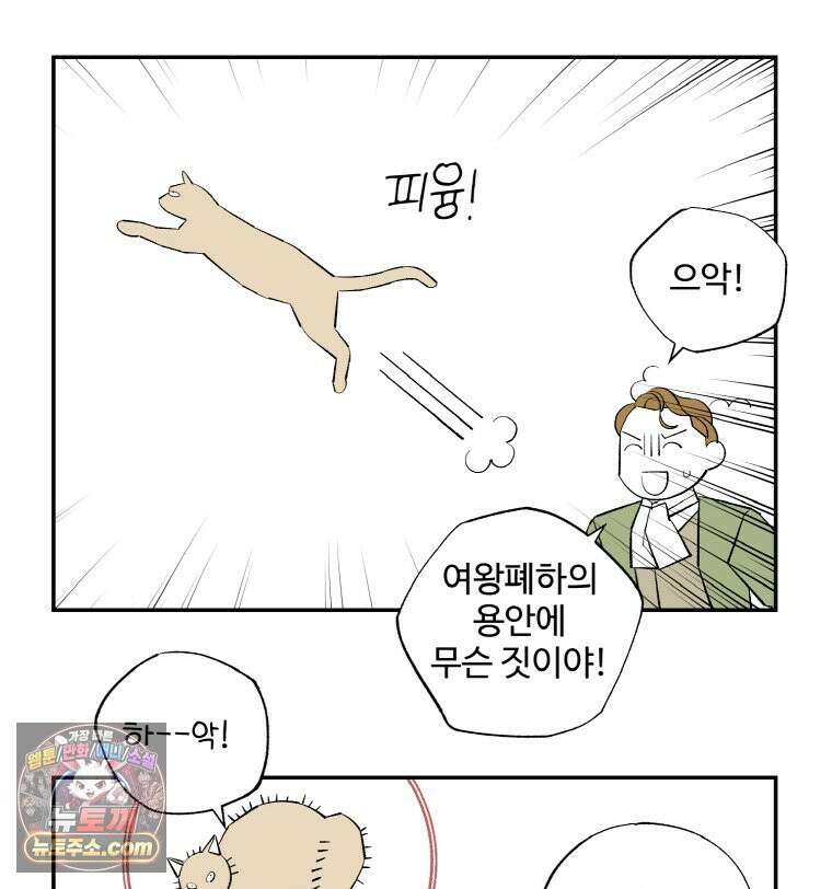 카스트라토 ~거세 가수 이야기~ 62화 고양이 15