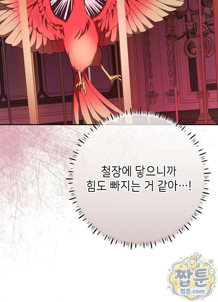 늑대 저택의 사랑받는 새아가 84화 76
