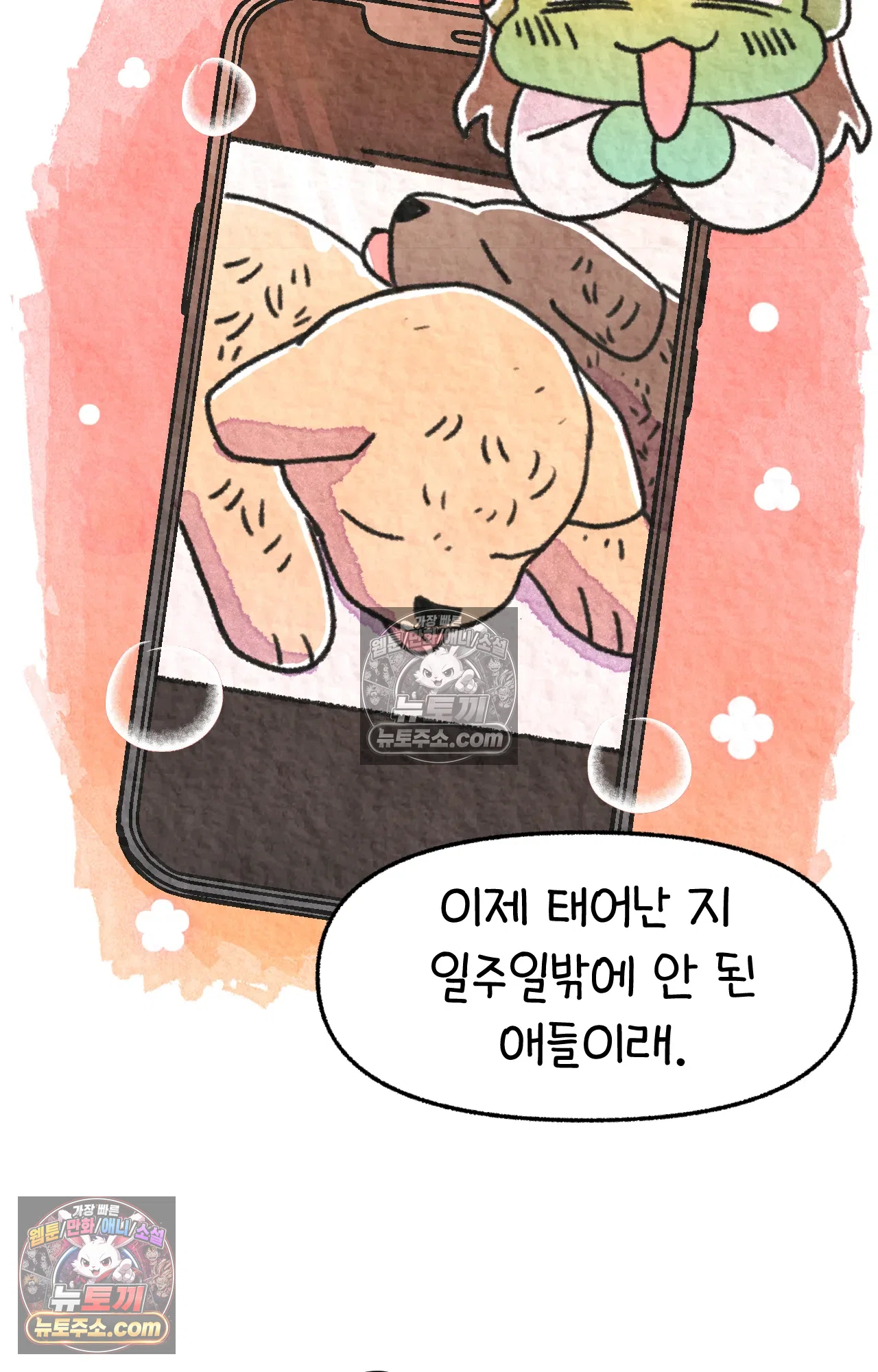 국제결혼 절대로 하지 마라 64화 - 강아지 천국(1) 10