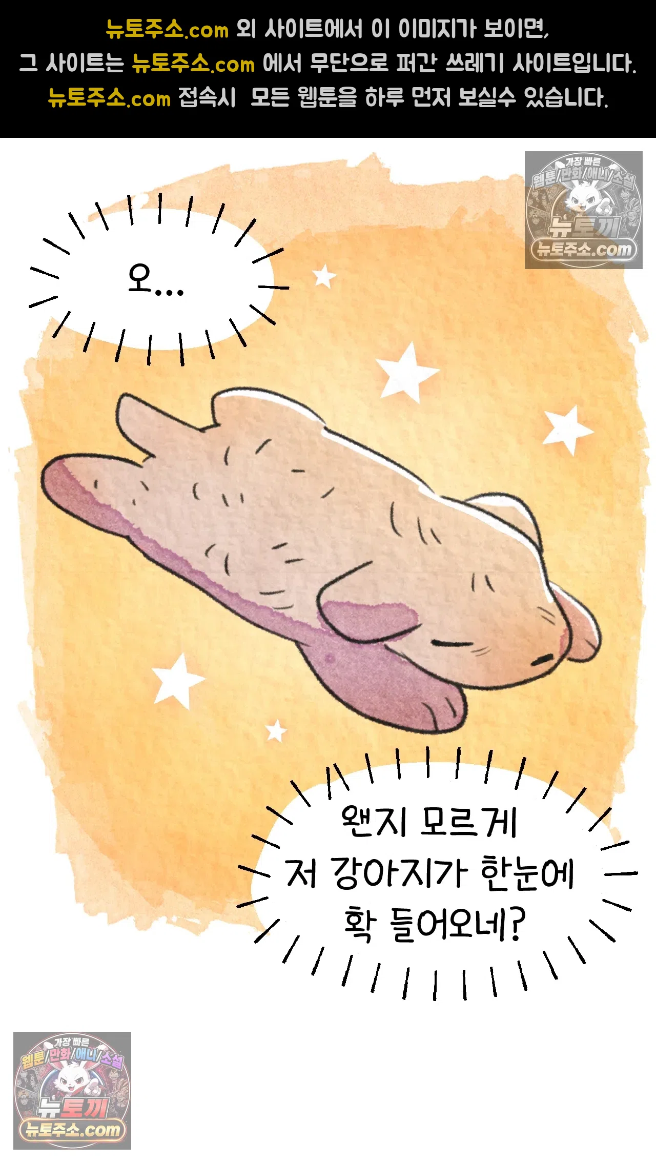 국제결혼 절대로 하지 마라 64화 - 강아지 천국(1) 55