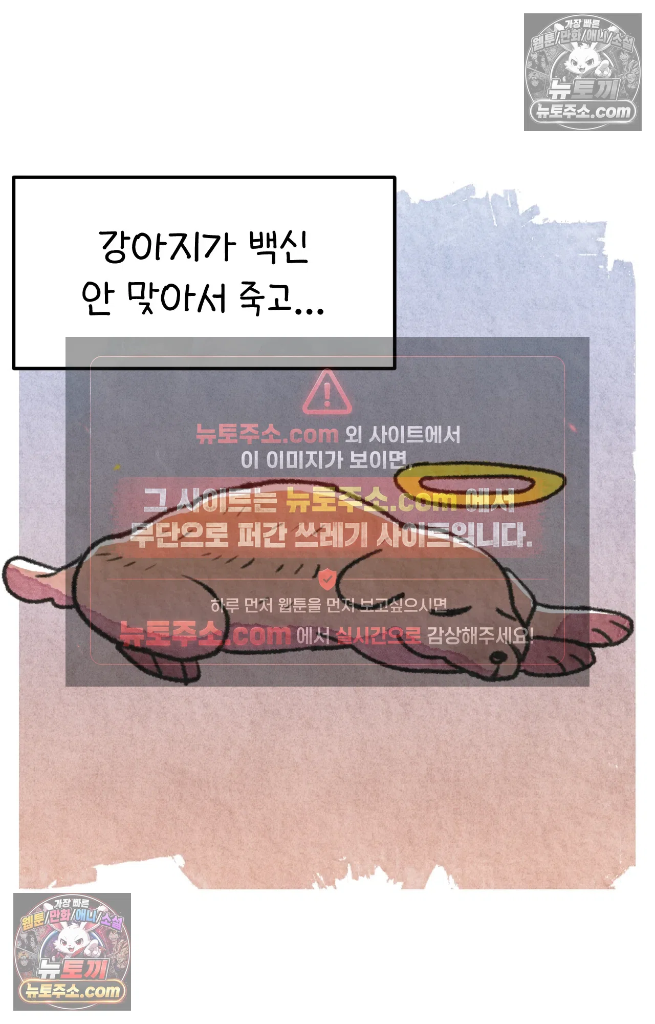 국제결혼 절대로 하지 마라 딜런의 세상은 요지경 66