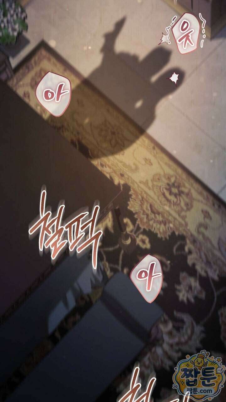 그 귀족가 형제들의 사정 20화 12