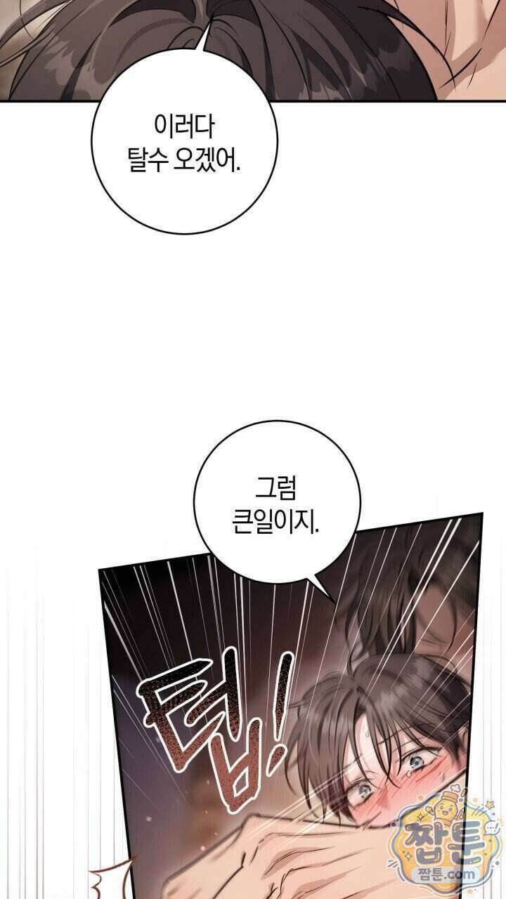 그 귀족가 형제들의 사정 20화 18