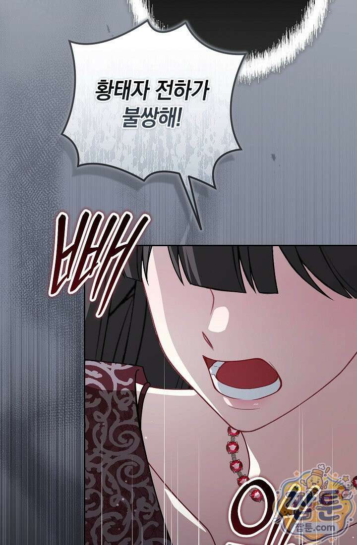 나는 한 편의 극을 보았다 46화 5