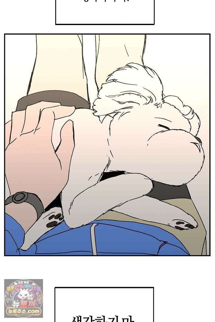 개의 눈으로 보라 37화 69