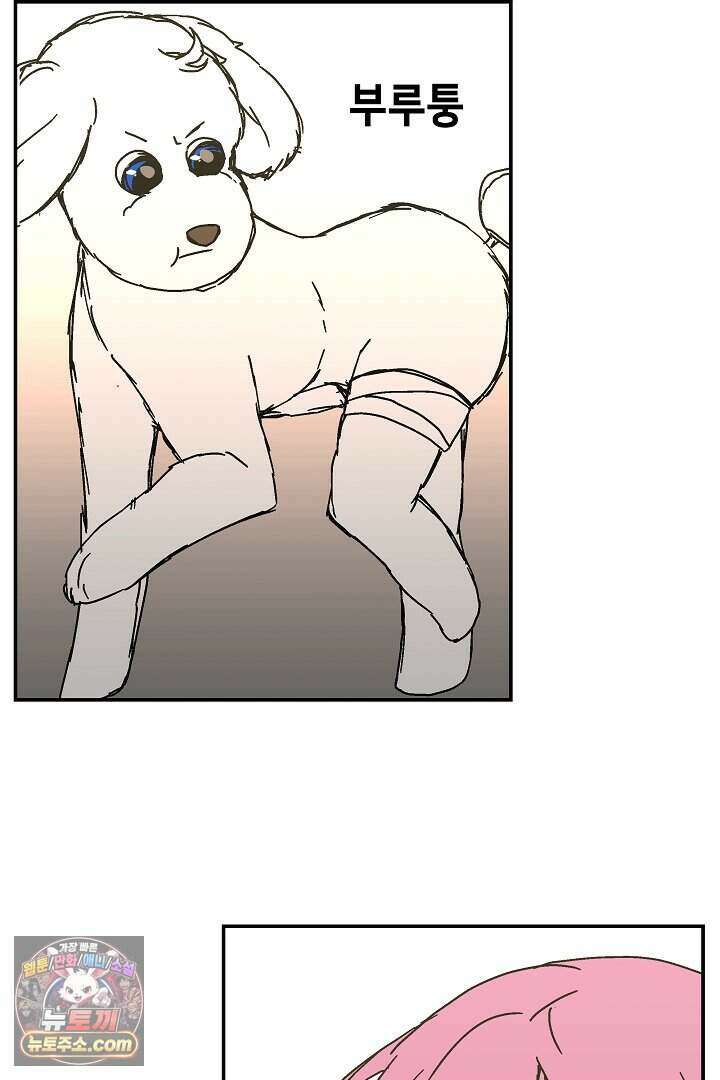 개의 눈으로 보라 37화 77