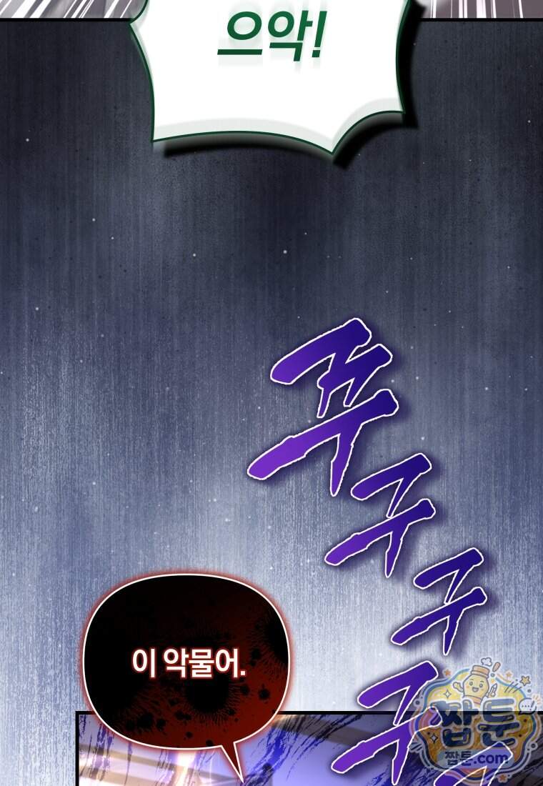 옆집 너드가 마탑주라니요 17화 100