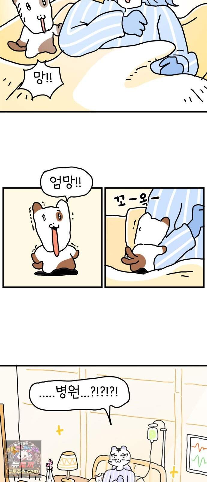 소심한 호랭이 코코 96화 지불보증인 14