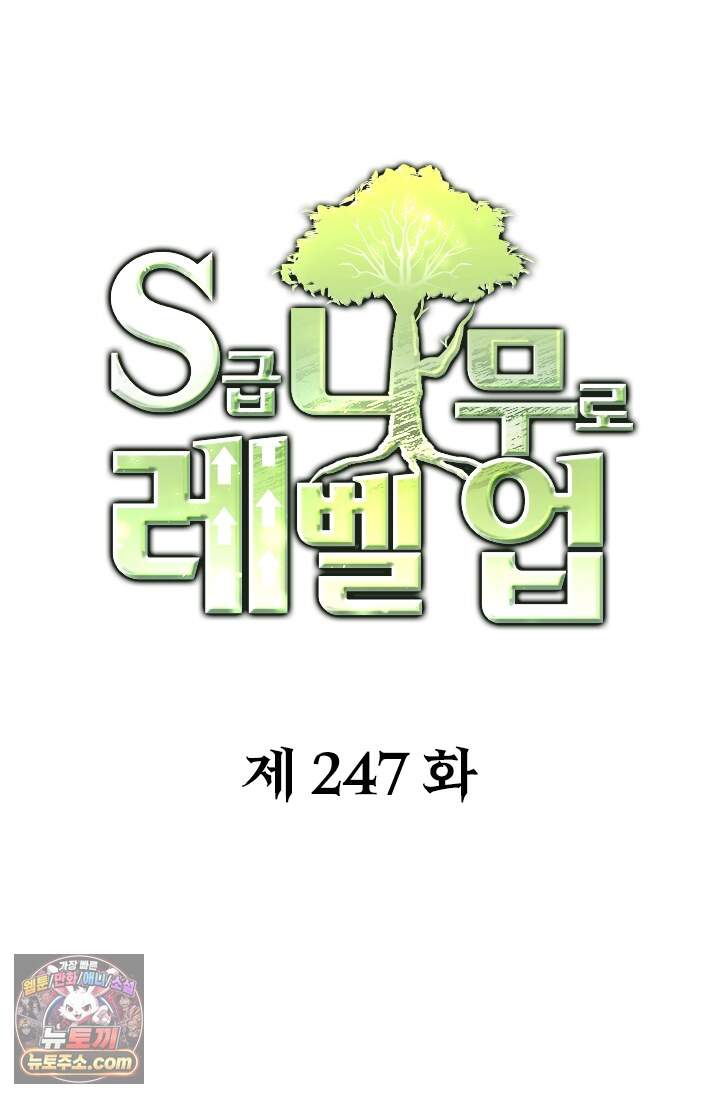 S급 나무로 레벨업 247화 1