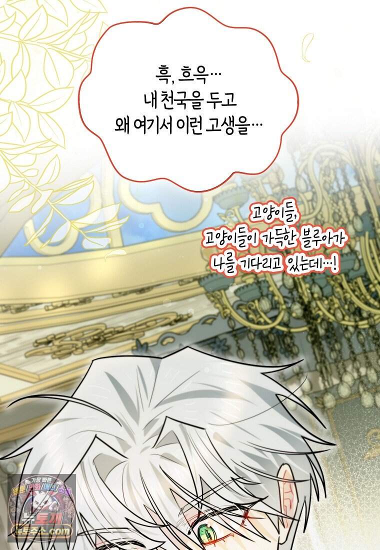 악역에 빙의했지만, 고양이나 키울래요 외전 3화 10