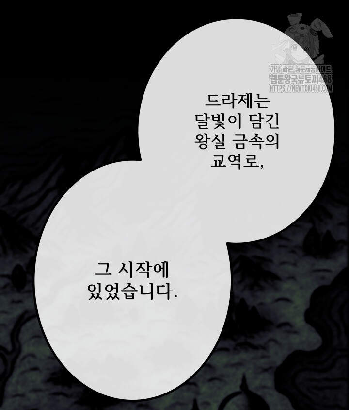 버그 트레인 207화 39