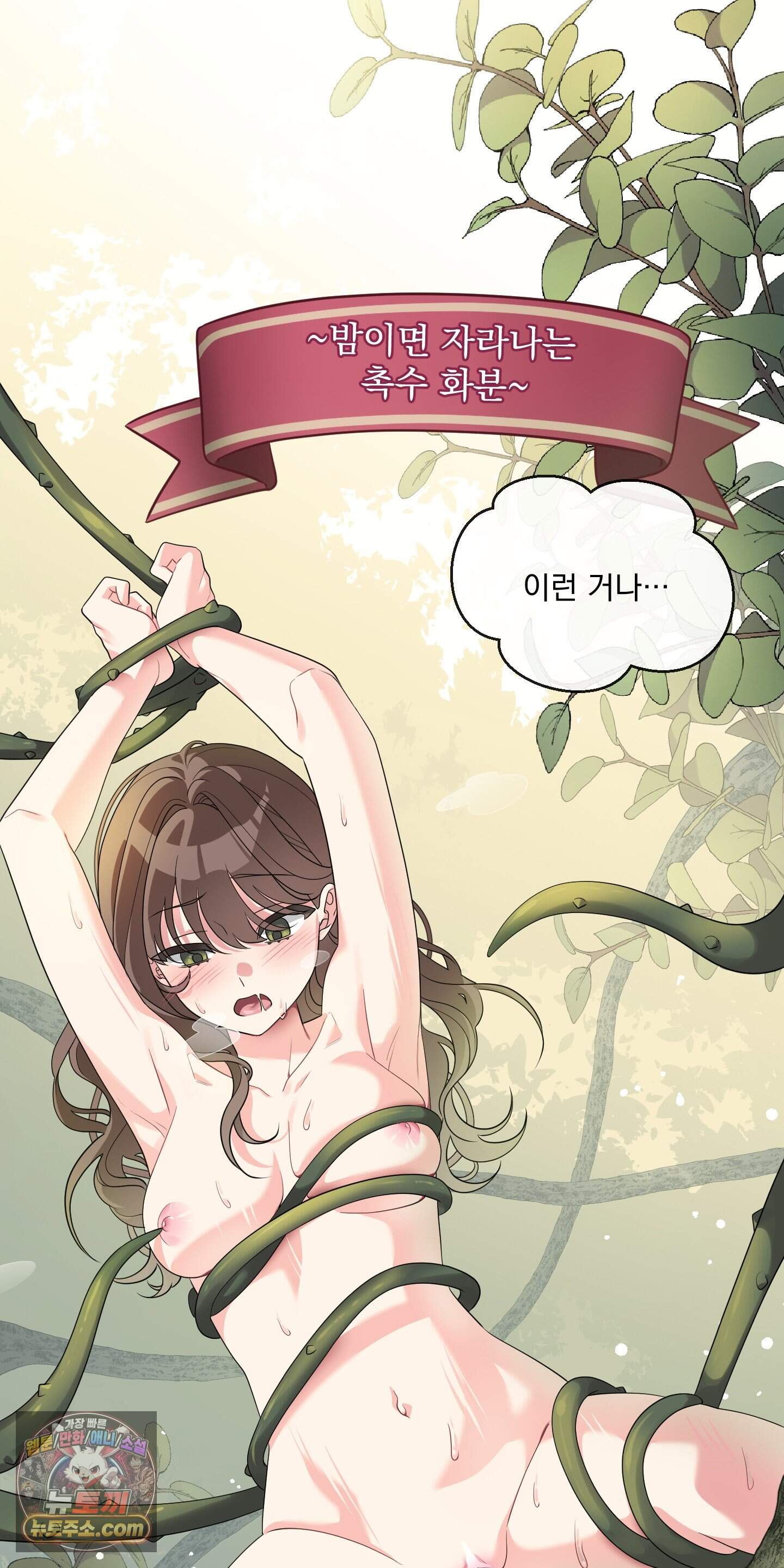 레이디 제인의 장난감 서랍 1화 51