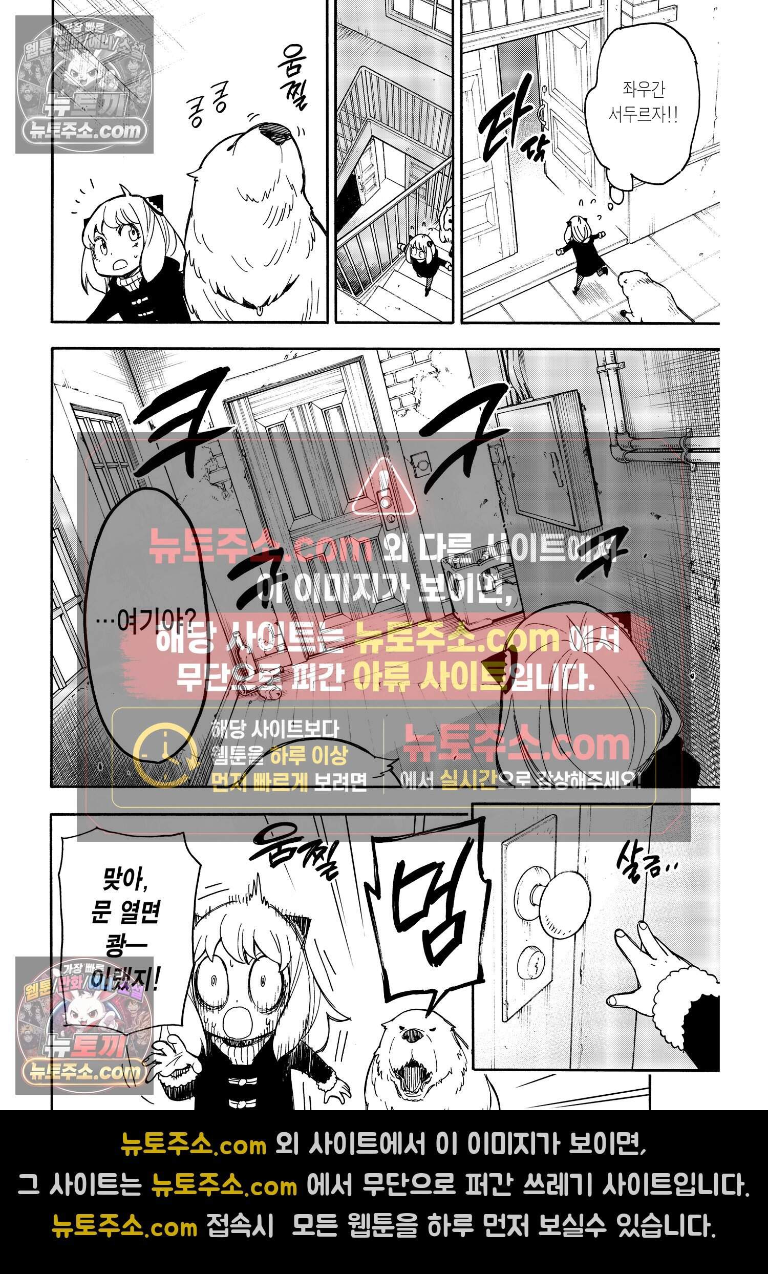 스파이 패밀리 MISSION : 21 9