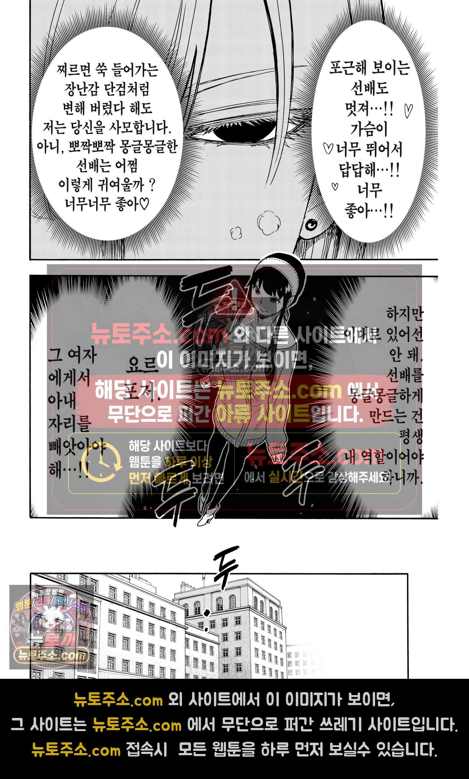 스파이 패밀리 MISSION : 31 3