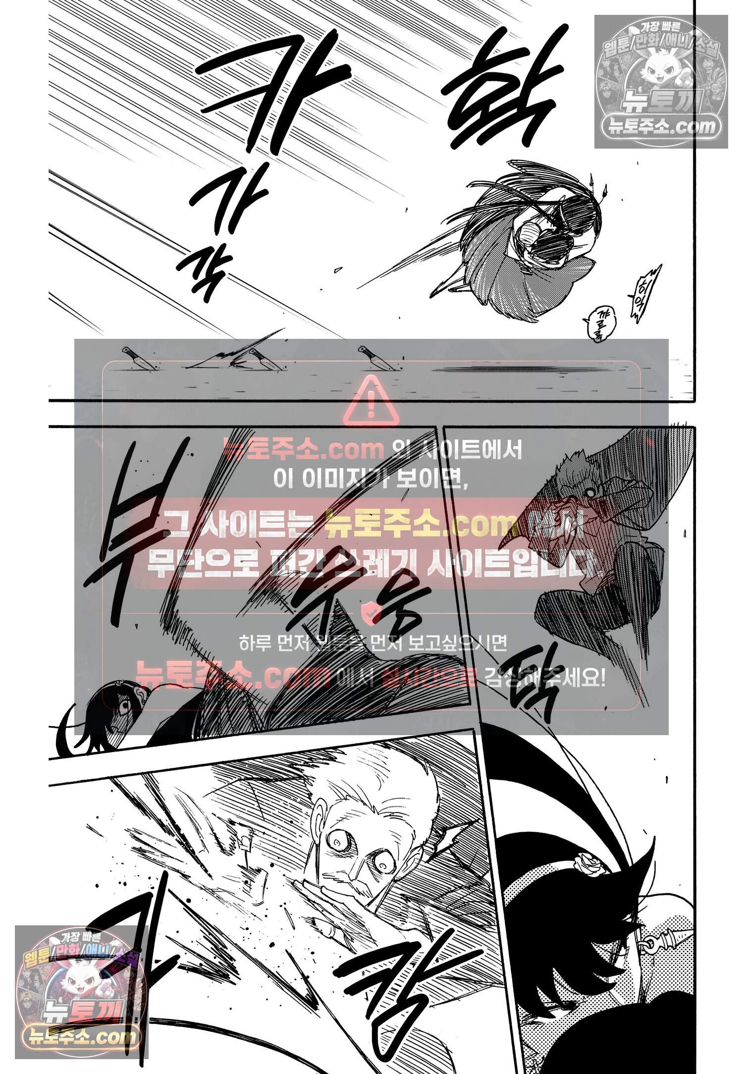 스파이 패밀리 MISSION : 51 16