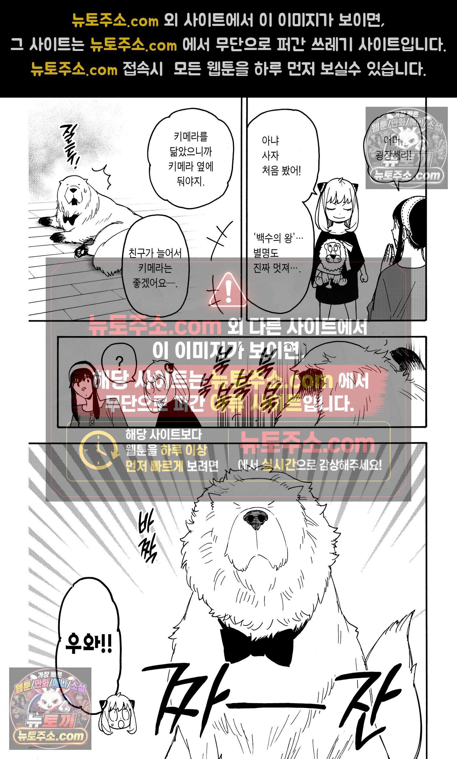 스파이 패밀리 MISSION : 87 10